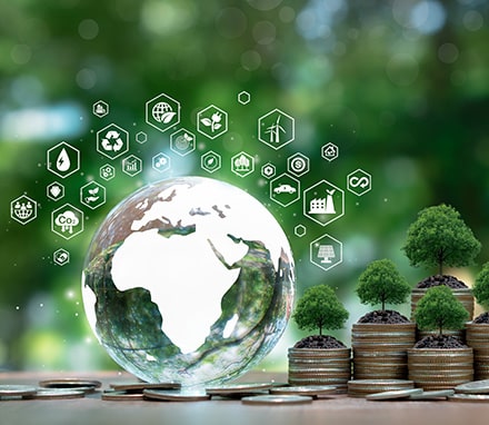 environmental-impact-misetal environmental-impact-misetal